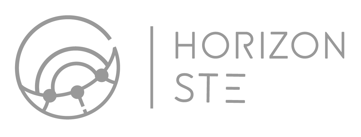Logo in grey colour